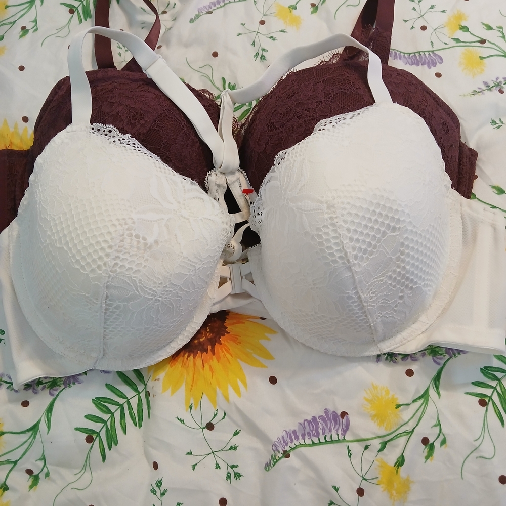 Auden Lace Push-Up Bra - White and Burgundy